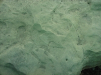 Human petroglyph at Washington State Park